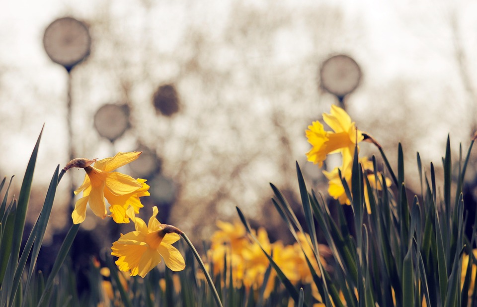  Halal food hotspots in Bangkok