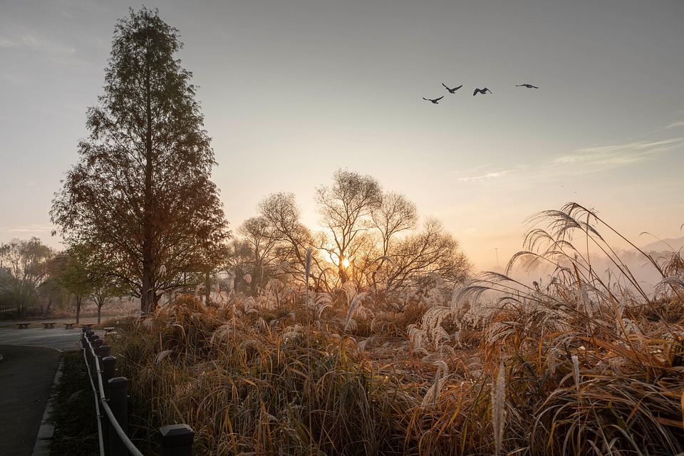  Sustainable travel tips for Bangkok visitors