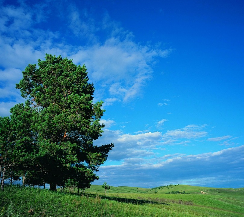  Bangkokʼs best massage parlors for relaxation