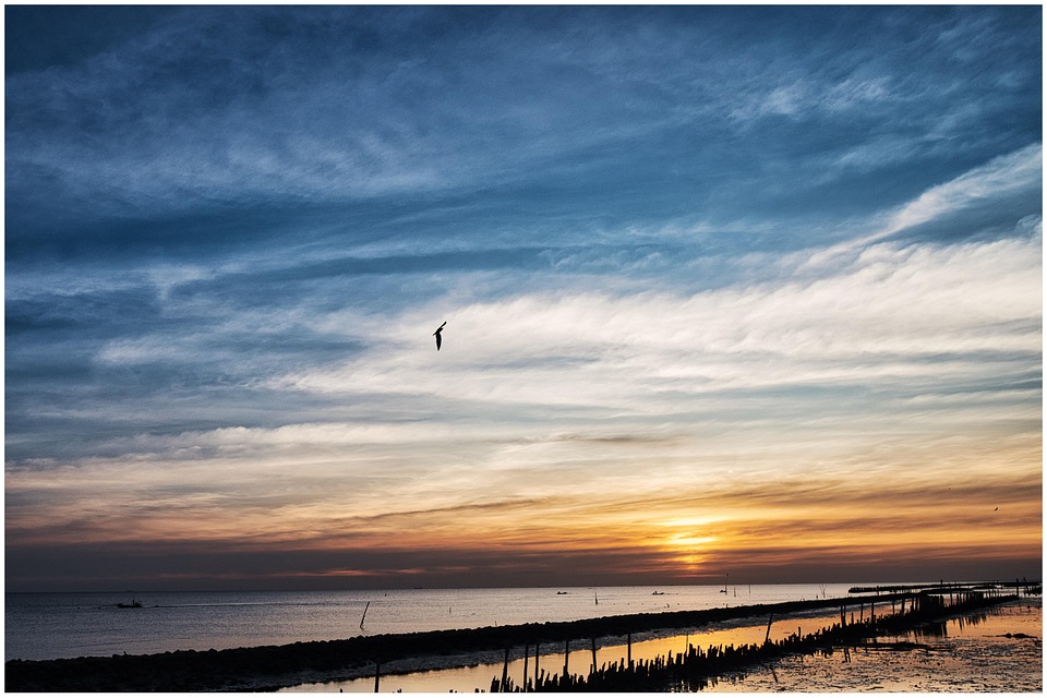 The-Ultimate-Luxury-Shopping-Experience-Discovering-Siam-Paragon.jpg Luxury shopping at Siam Paragon Bangkok